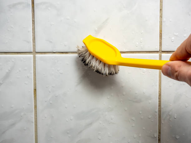 Best Bathroom Mold Remediation in Potomac Heights, MD