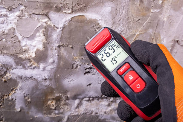 Best Localized Mold Remediation (e.g., coastal areas, humid climates) in Potomac Heights, MD