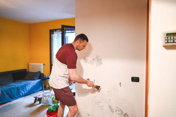 Best Commercial Mold Remediation in Potomac Heights, MD